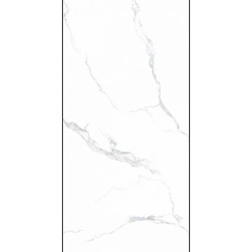 Керамогранит Planet Ceramics (Планет Керамикс) UK-SM 712 matt 60x120 см