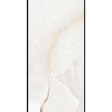 Керамогранит Planet Ceramics (Планет Керамикс) Honey Grey полированный 60x120 см