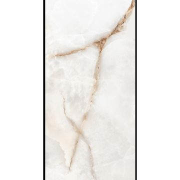 Керамогранит Planet Ceramics (Планет Керамикс) Honey Grey полированный 60x120 см