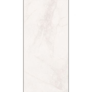 Керамогранит Planet Ceramics (Планет Керамикс) BNF12601RG matt 60x120 см