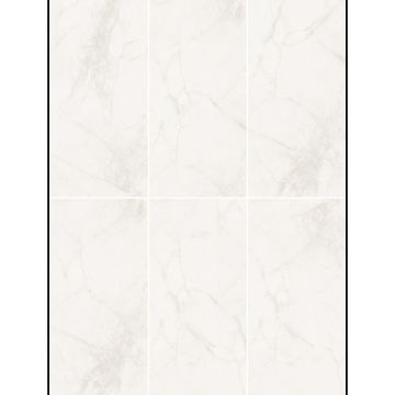 Керамогранит Planet Ceramics (Планет Керамикс) BNF12601RG matt 60x120 см