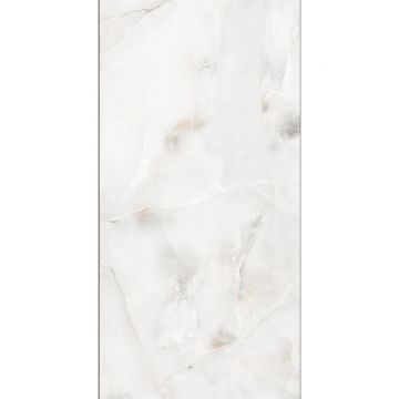Керамогранит Planet Ceramics (Планет Керамикс) Onyx Silver полированный 60x120 см