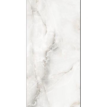 Керамогранит Planet Ceramics (Планет Керамикс) Onyx Silver полированный 60x120 см