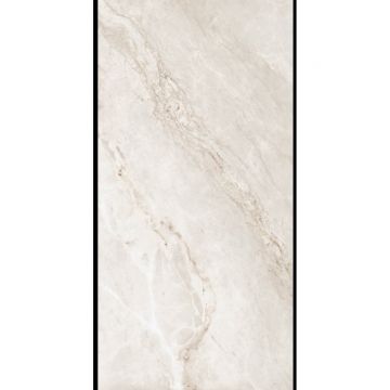 Керамогранит Planet Ceramics (Планет Керамикс) Renova Silver полированный 60x120 см