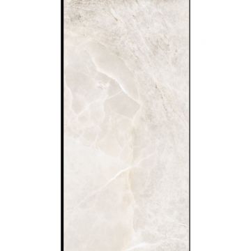 Керамогранит Planet Ceramics (Планет Керамикс) Renova Silver полированный 60x120 см