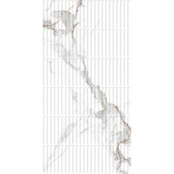 Керамогранит Arcadia Ceramica (Аркадиа Керамика) Statuario Seville Decor 60х120 см, CP4001-D