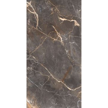 Керамогранит Arcadia Ceramica (Аркадиа Керамика) Imperial Nero 60х120 см, FP1005-A