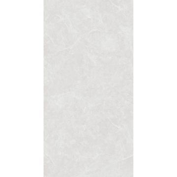 Керамогранит Arcadia Ceramica (Аркадиа Керамика) Oviedo Silver Solido 60х120 см, SL1003-A