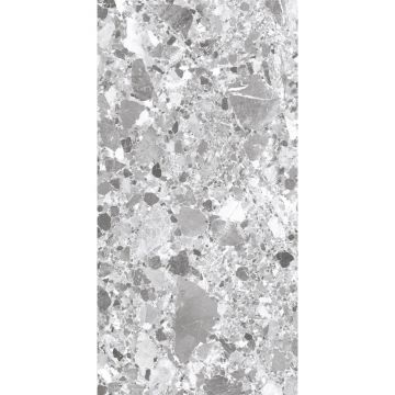 Керамогранит Arcadia Ceramica (Аркадиа Керамика) Terragona Silver Solido 60х120 см, SL1004-A