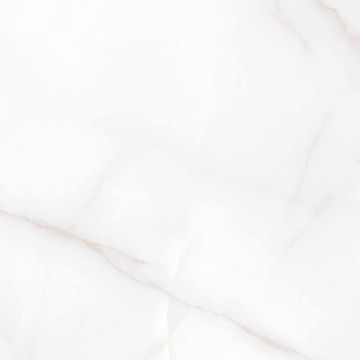 Керамогранит Arcadia Ceramica (Аркадиа Керамика) Feather Onyx 60х60 см, RT6004-A