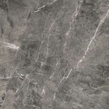 Керамогранит Arcadia Ceramica (Аркадиа Керамика) Florencia Grey 60х60 см, RT6013-A