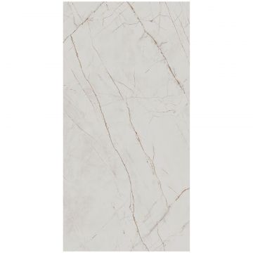 Керамогранит Аркадиа Керамика Valencia Silver Grey 120x60 см CR4027-A, Arcadia Ceramica