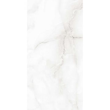 Керамогранит Arcadia Ceramica (Аркадиа Керамика) Anty Sky Grey 60х120 см, FP1020-A