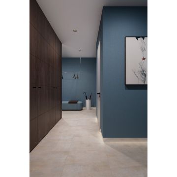 Керамогранит Arcadia Ceramica (Аркадиа Керамика) Elite Mist 60х60 см, SG3004-A