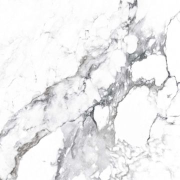 Керамогранит Arcadia Ceramica (Аркадиа Керамика) Borghini Silver 60х60 см, CR4006-A