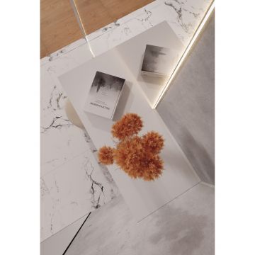 Керамогранит Arcadia Ceramica (Аркадиа Керамика) Borghini Silver 60х60 см, CR4006-A