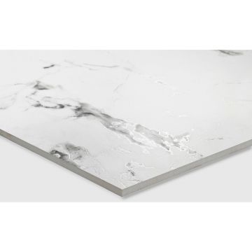 Керамогранит Arcadia Ceramica (Аркадиа Керамика) Borghini Silver 60х60 см, CR4006-A