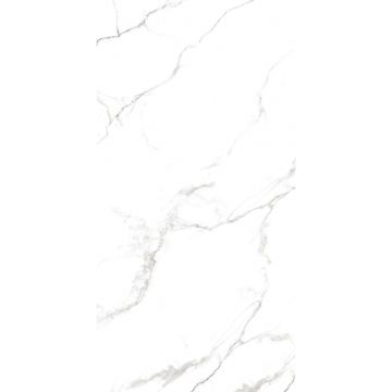 Керамогранит Arcadia Ceramica (Аркадиа Керамика) Statuario Fine 60х120 см, FP1039-A