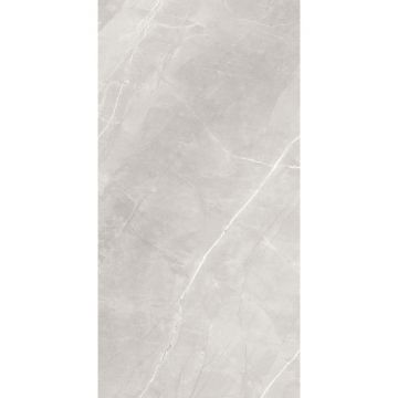 Керамогранит Arcadia Ceramica (Аркадиа Керамика) Armani Silver 60х120 см, RT7013-A