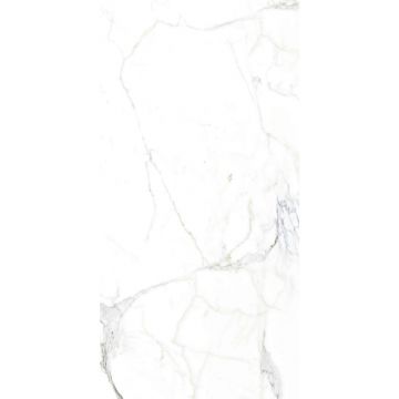 Керамогранит Arcadia Ceramica (Аркадиа Керамика) Luce Statuario 60х120 см, FP1002-A