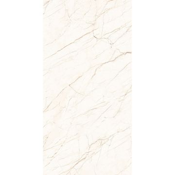 Керамогранит Arcadia Ceramica (Аркадиа Керамика) Ceasar 60х120 см, CR4010-A