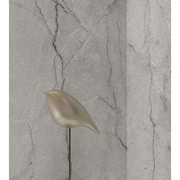 Керамогранит Arcadia Ceramica (Аркадиа Керамика) Condor Light Grey 60х120 см, CR4013-A