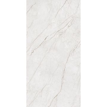 Керамогранит Arcadia Ceramica (Аркадиа Керамика) Meteria Silver 60х120 см, CR4014-A