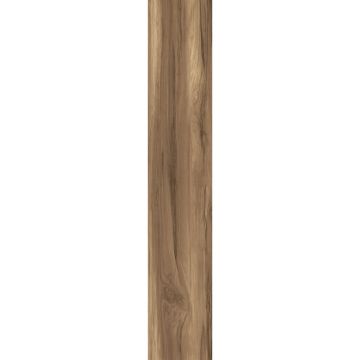 Керамогранит Creanza (Креанза) Fossil Wood Wenge 20х120 см, CW-RT10-B