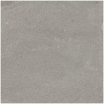 Керамогранит Креанза Treviso Gris 60x60 см EX-204, Creanza