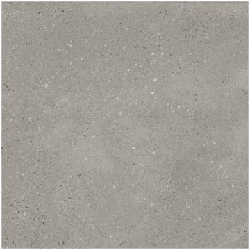 Керамогранит Креанза Treviso Gris 60x60 см EX-204, Creanza