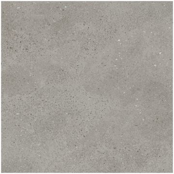 Керамогранит Креанза Treviso Gris 60x60 см EX-204, Creanza