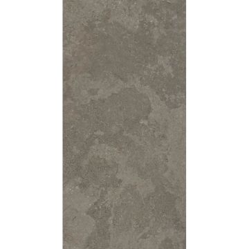 Керамогранит MGM (МГМ) Viken Mud 60x120 см, VIKMUD60120