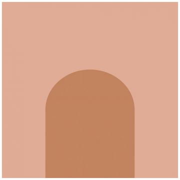 Базовая плита Fioranese Italian Landscape 20,5х20,5 см серый матовая ILFI20A, Firenze A, Fioranese