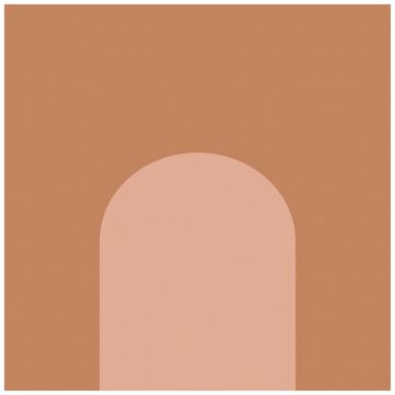 Базовая плита Fioranese Italian Landscape 20,5х20,5 см серый неполированная ILFI20C, Firenze C, Fioranese