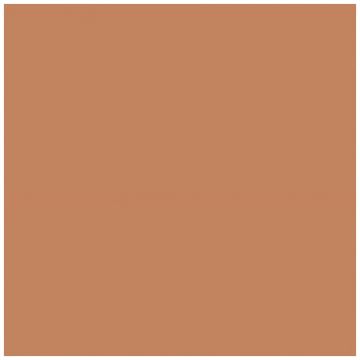 Базовая плита Fioranese Italian Landscape 20,5х20,5 см коричневый матовая IL20TER, Terracotta, Fioranese