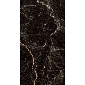 Керамогранит Premium Global Tile (Премиум Глобал Тайл) Zebrano Черный матовый 60x120 см, PGT1206010105MGR
