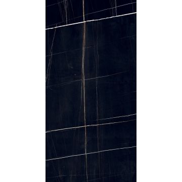 Керамогранит Premium Global Tile (Премиум Глобал Тайл) Dorato Черный матовый 60x120 см, PGT120609705SGR