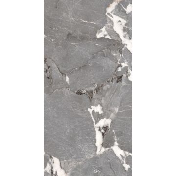 Керамогранит Premium Global Tile (Премиум Глобал Тайл) Pegasus Серый матовый 60x120 см, PGT1206010201SGR