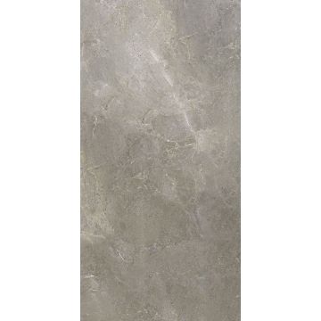Керамогранит Ariostea Ceramica (Ариостэ Керамика) Ultra Pietre Galaxy Grey natural 75x150 см, UP6S157683