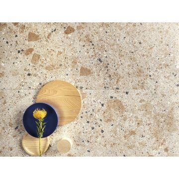 Керамогранит Ariostea Ceramica (Ариостэ Керамика) Fragmenta Arlecchino natural plus soft 60x120 см, P612615