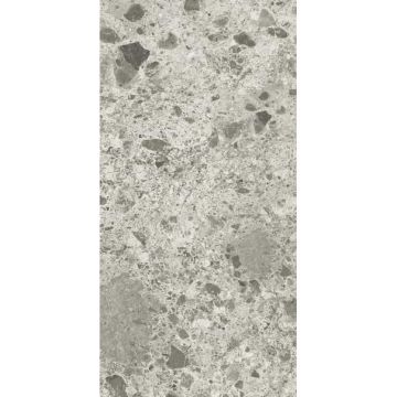 Керамогранит Ariostea Ceramica (Ариостэ Керамика) Fragmenta Grigio Luminoso natural plus soft 60x120 см, P612618