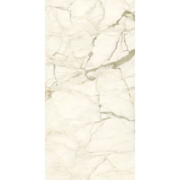 Керамогранит Ariostea Ceramica (Ариостэ Керамика) Marmi Classici Calacatta Macchia Vecchia polished rett 60x120 см, PL612575