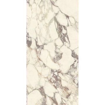 Керамогранит Ariostea Ceramica (Ариостэ Керамика) Marmi Classici Calacatta Viola polished rett 60x120 см, PL612671
