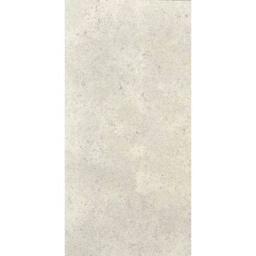 Керамогранит Ariostea Ceramica (Ариостэ Керамика) Elementae Aere natural plus 60x120 см, P612712