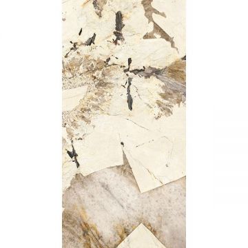 Керамогранит Ariostea Ceramica (Ариостэ Керамика) Marmi Classici Patagonia top lapped rett 60x120 см, PLP612691