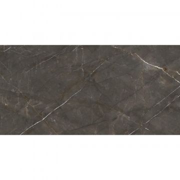 Керамогранит Ariostea Ceramica (Ариостэ Керамика) Marmi Classici Pulpis Grey polished rett 60x120 см, PL612515