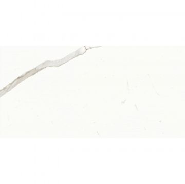 Керамогранит Ariostea Ceramica (Ариостэ Керамика) Marmi Classici Statuario Classico natural rett soft 60x120 см, P612516