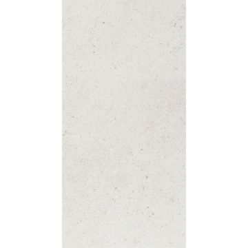 Керамогранит Ariostea Ceramica (Ариостэ Керамика) Elementae Lumen natural plus 60x120 см, P612720