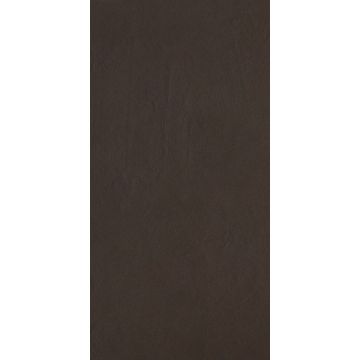 Керамогранит Porcelain Gres (Порселейн Грес) Color Studio Brown 30x60 см, X630367X6