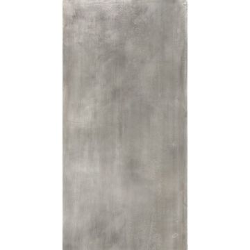 Керамогранит Tuscania Ceramiche (Тасканиа Керамише) Le Leghe Platino 61x122,2 см, R63LE.PL NEW